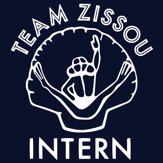 Zissou Intern