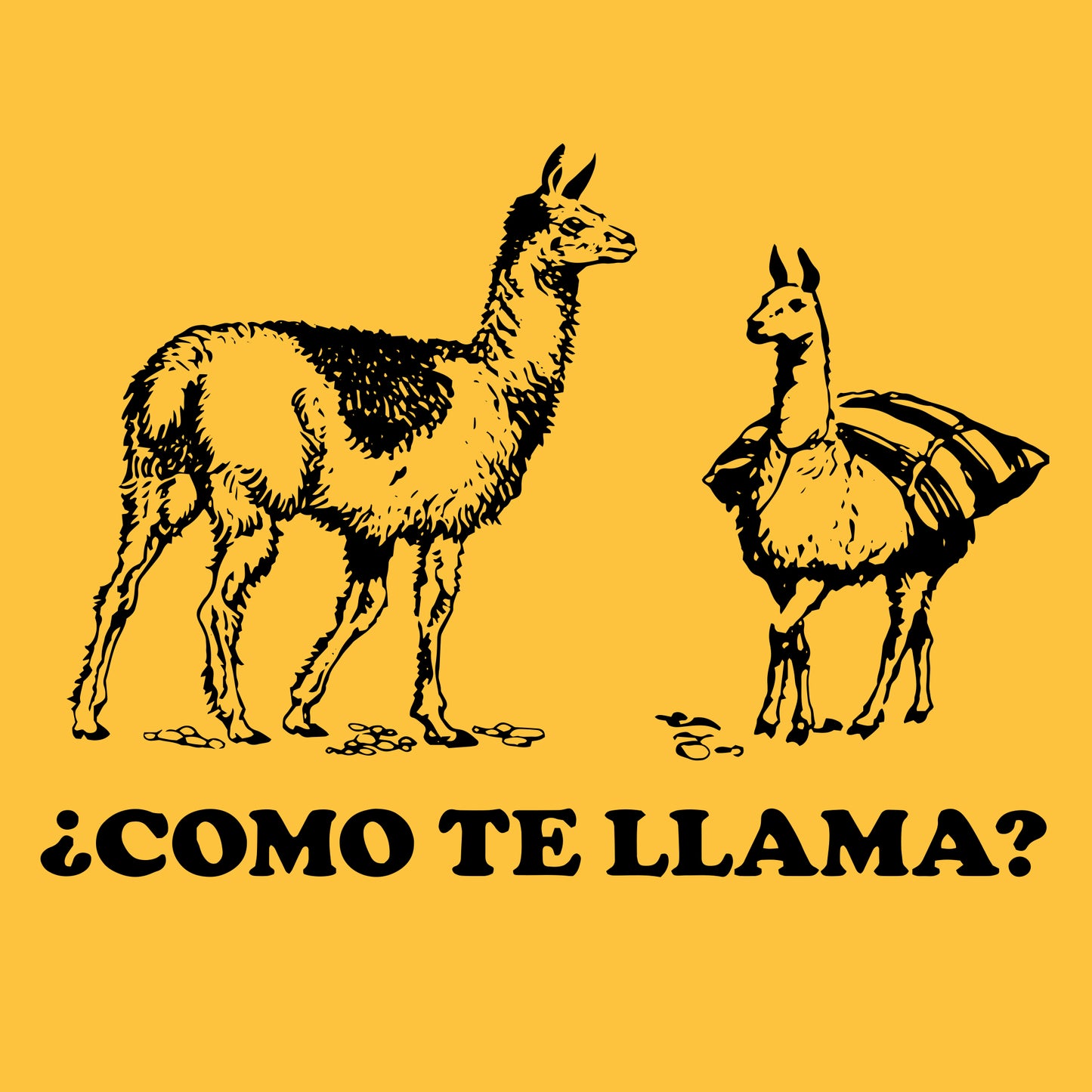 Como Te Llama